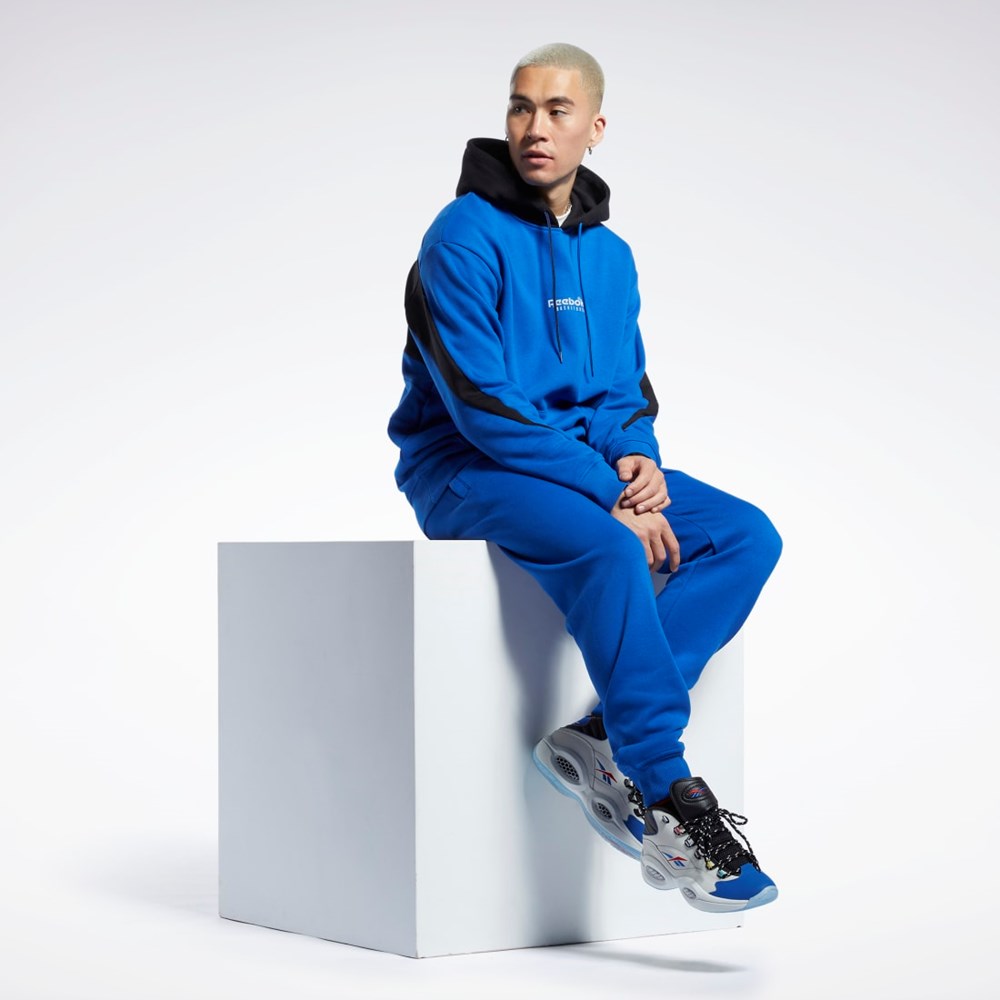 Reebok Basketball Back Vector Fleece Hoodie Azules | 48PTCVIKY