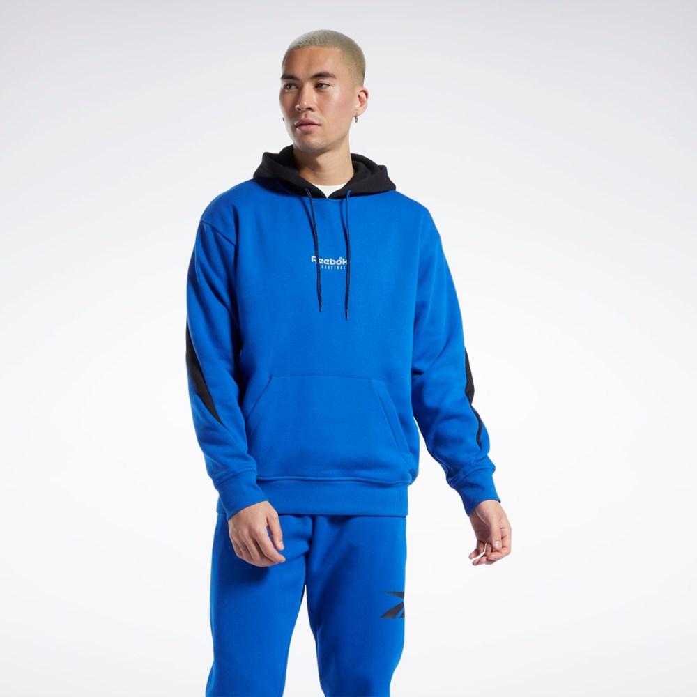 Reebok Basketball Back Vector Fleece Hoodie Azules | 48PTCVIKY