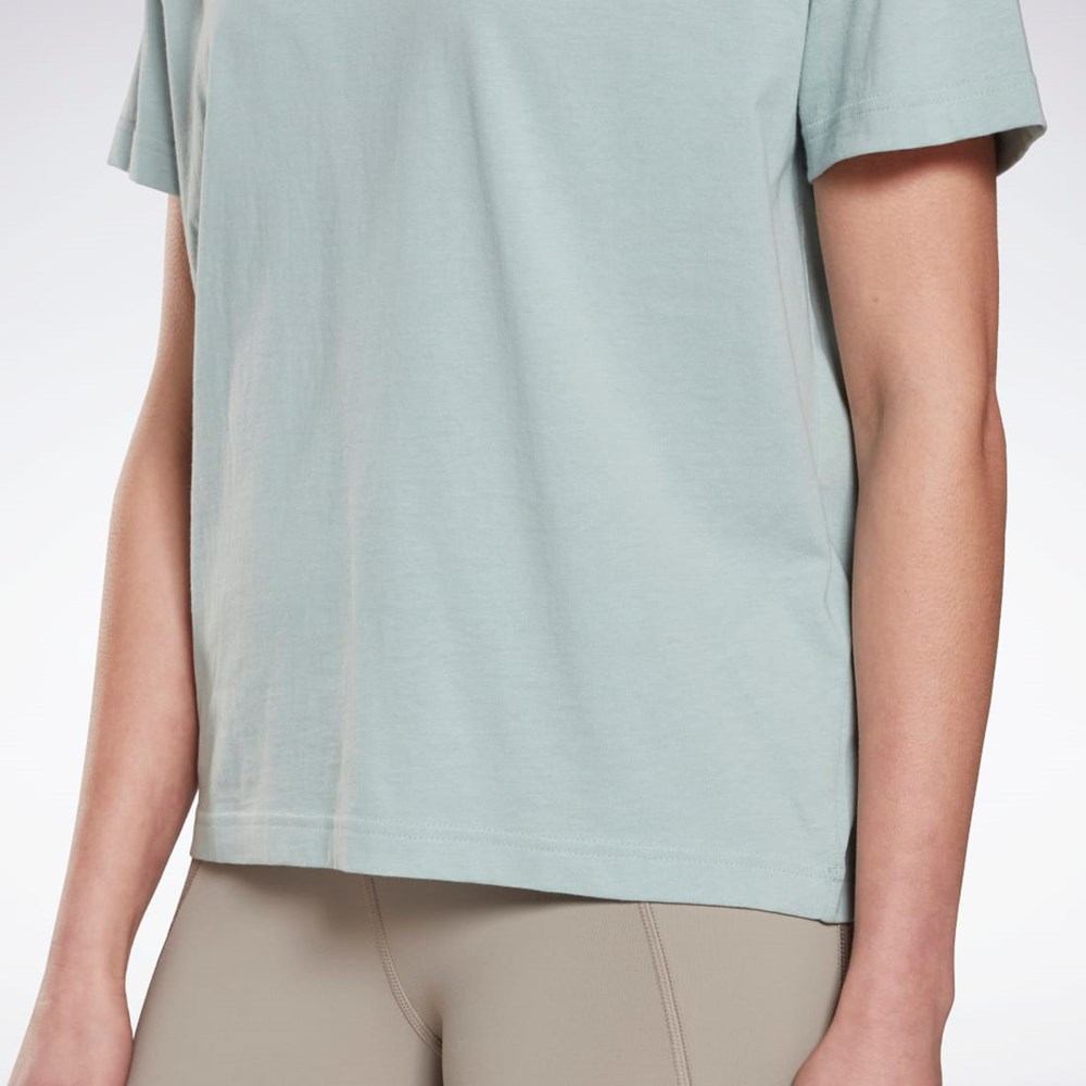 Reebok Brand T-Shirt Gris | 08HXJUIYF