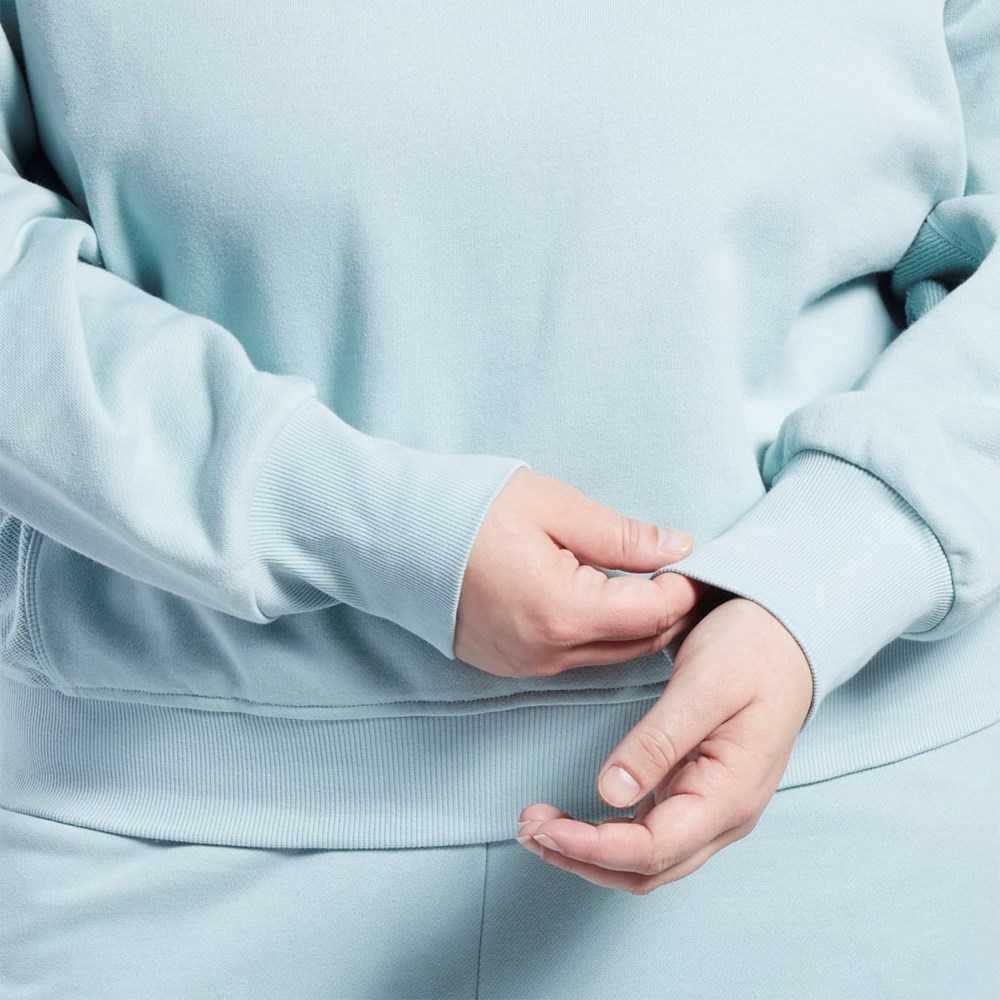 Reebok Classics Algodon French Terry Sweatshirt (Plus Size) Gris | 87HRGTBEA