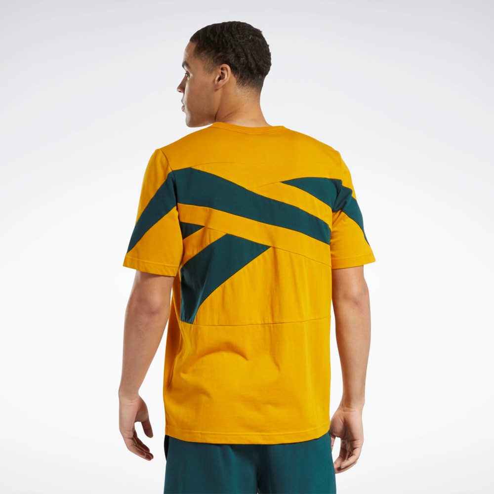 Reebok Classics Brand Proud T-Shirt Bright Ochre | 10NVMDFOS