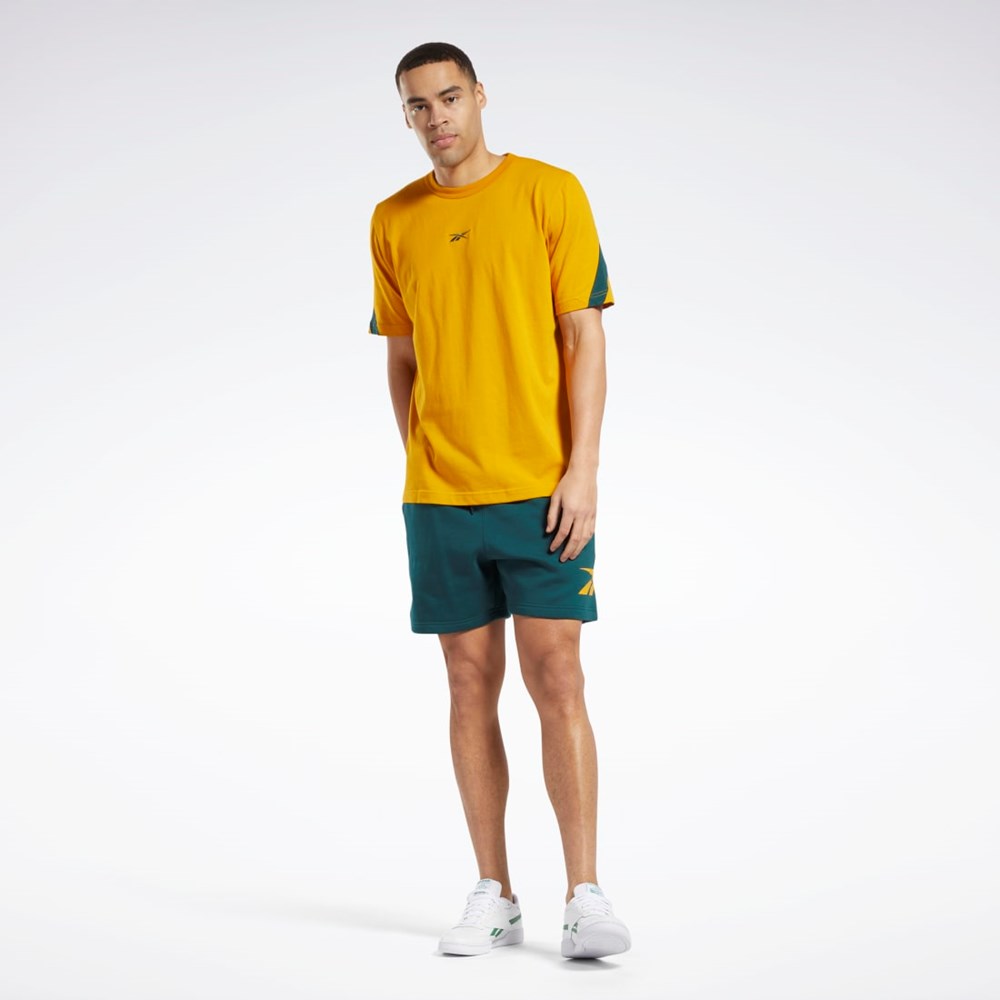 Reebok Classics Brand Proud T-Shirt Bright Ochre | 10NVMDFOS