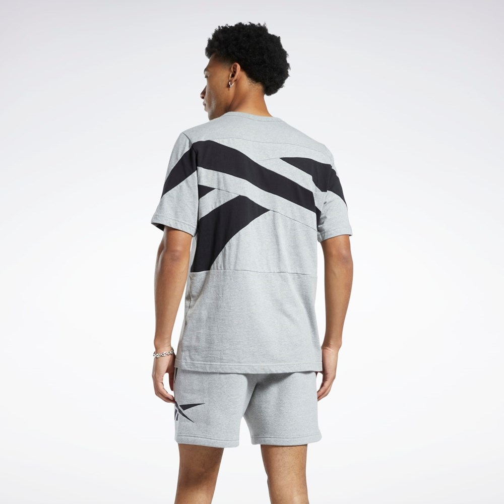 Reebok Classics Brand Proud T-Shirt Gris | 75ABVYEDO