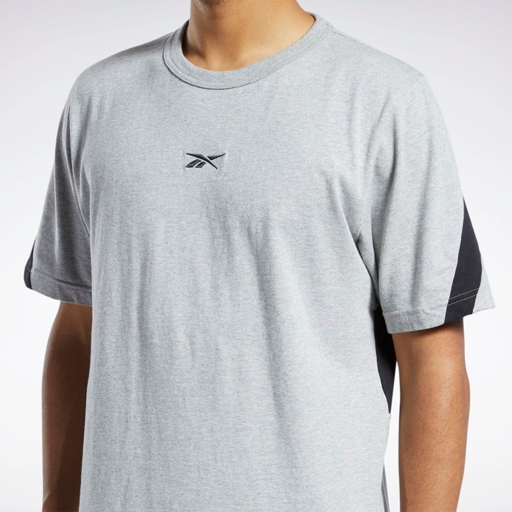 Reebok Classics Brand Proud T-Shirt Gris | 75ABVYEDO