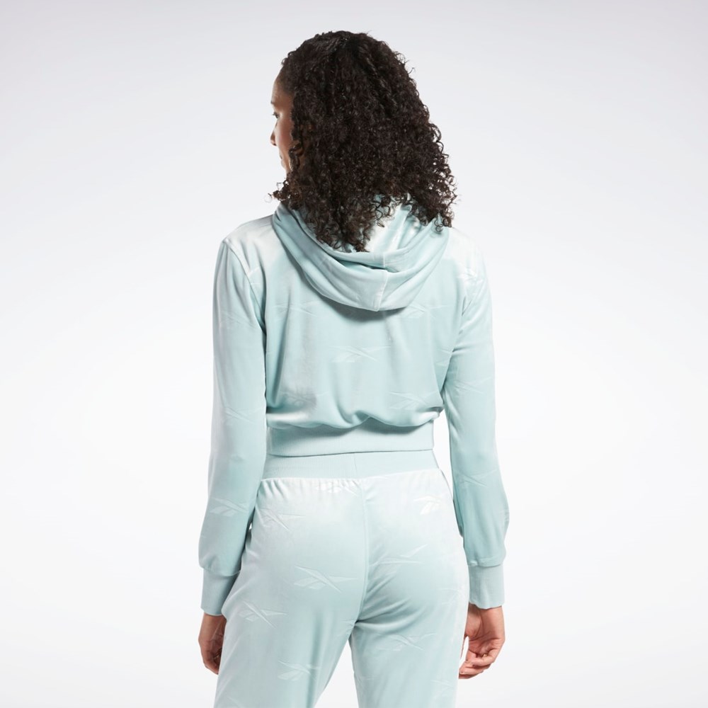 Reebok Classics Energy Q4 Velour Zip-Up Sweatshirt Gris | 46MHVADRQ