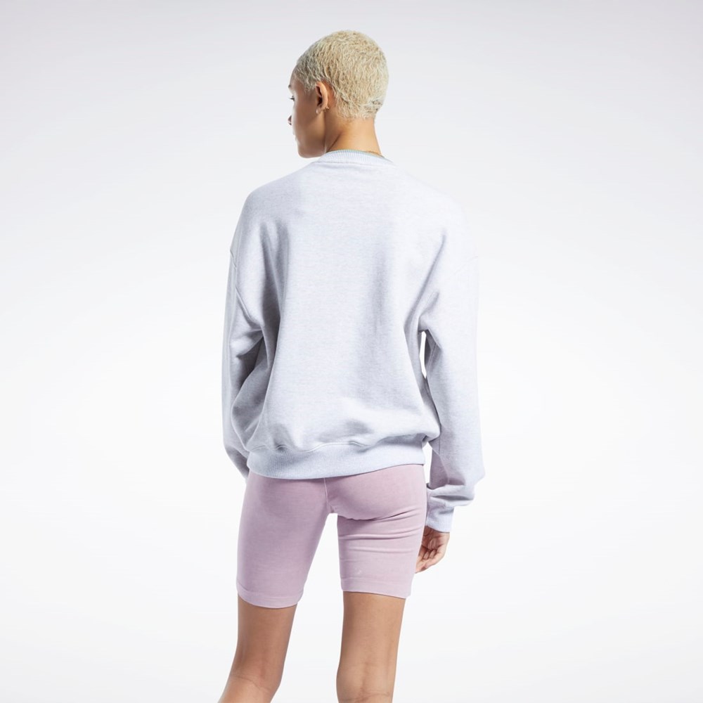 Reebok Classics Estampadas Sweatshirt Gris Claro | 13OTFMVAX