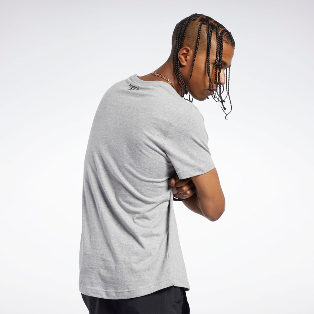 Reebok Classics Estampadas Tee Gris | 37RNSMPLZ