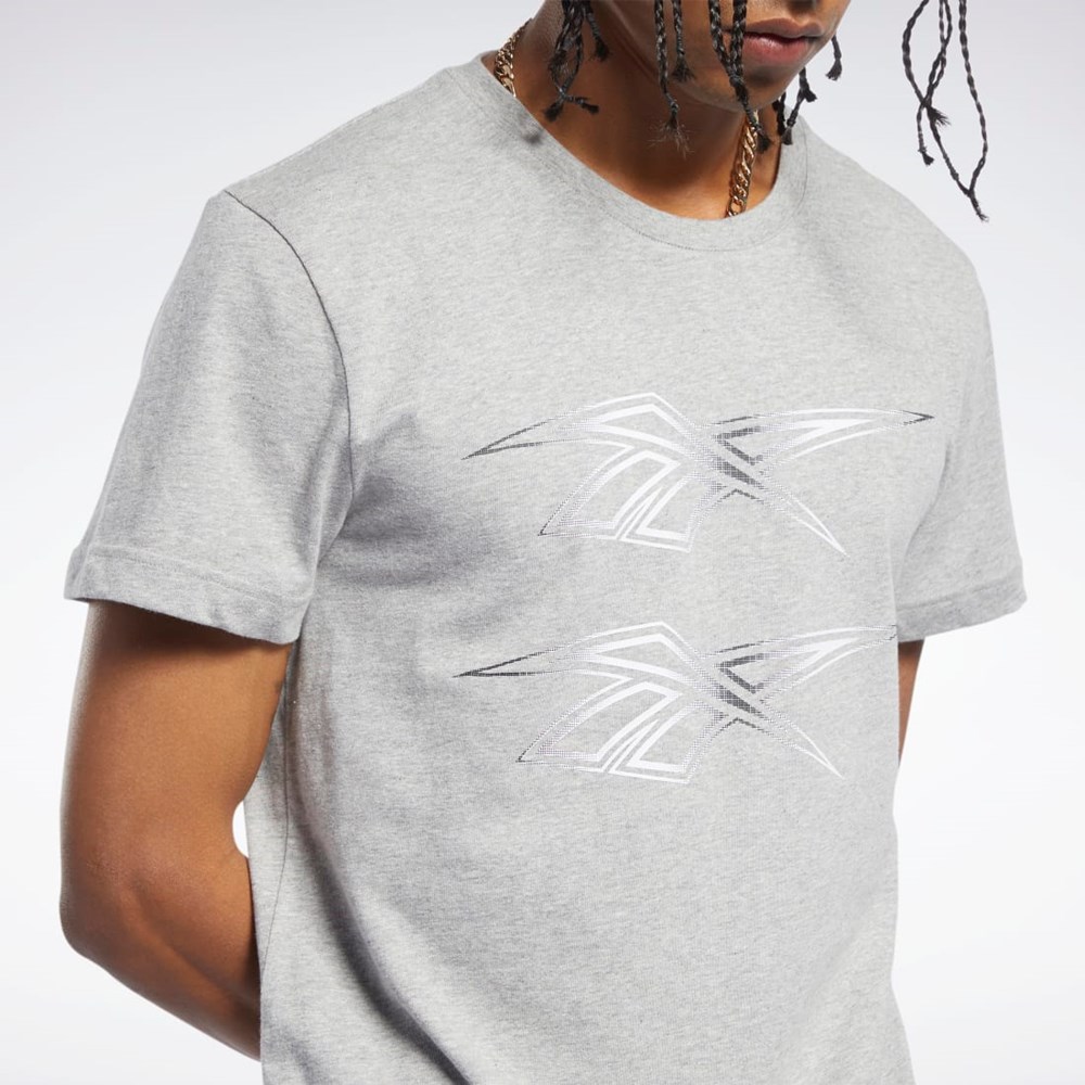 Reebok Classics Estampadas Tee Gris | 37RNSMPLZ