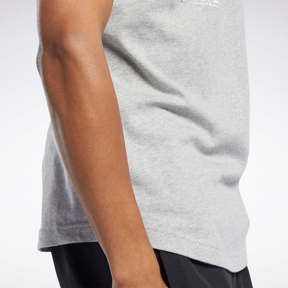 Reebok Classics Estampadas Tee Gris | 37RNSMPLZ
