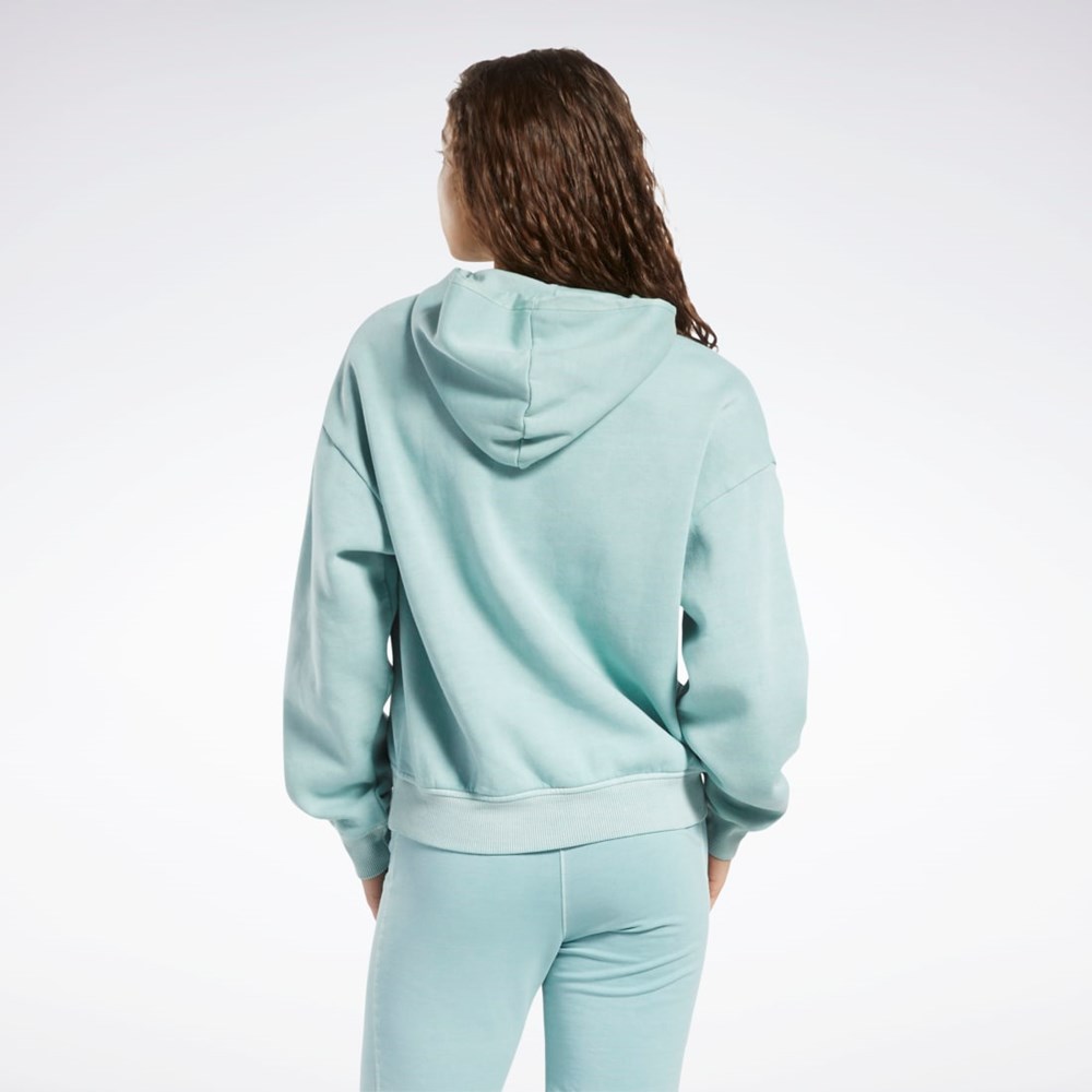 Reebok Classics Natural Dye Fleece Hoodie Gris | 79SNTDVRZ