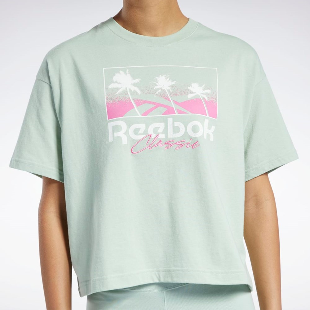 Reebok Classics Summer Estampadas T-Shirt Verde Menta | 95AJDSZMY