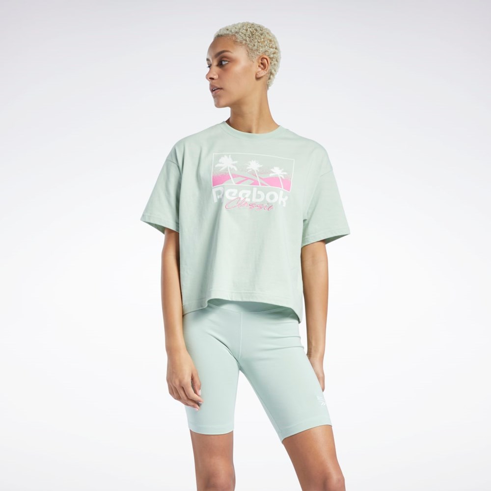 Reebok Classics Summer Estampadas T-Shirt Verde Menta | 95AJDSZMY