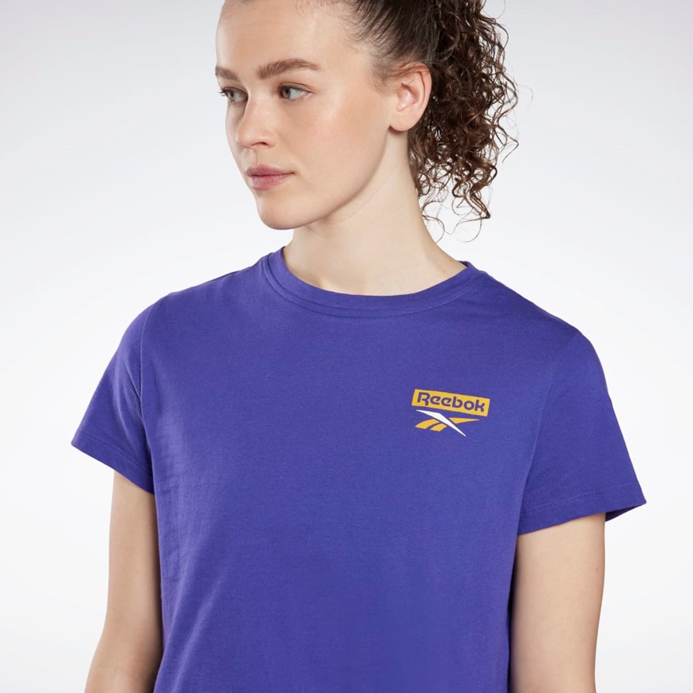 Reebok Entrenamiento Essentials Estampadas T-Shirt Moradas | 05EUJTYXB