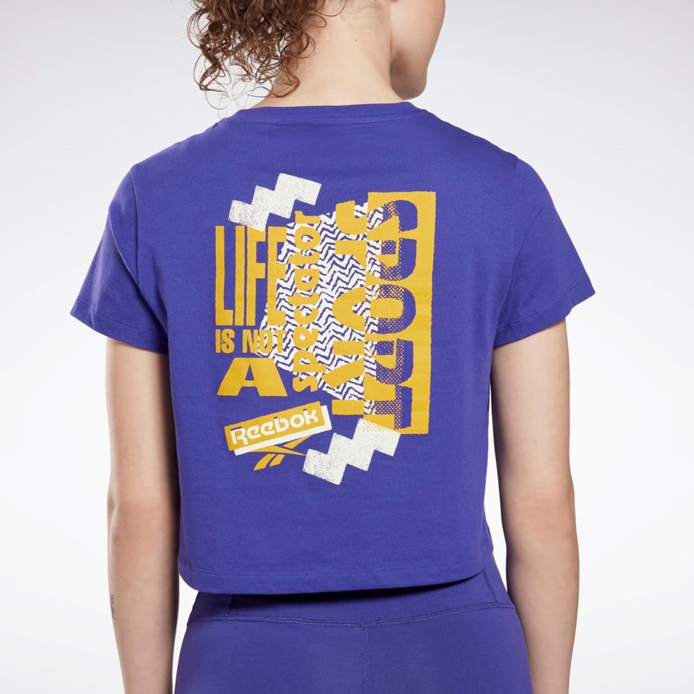 Reebok Entrenamiento Essentials Estampadas T-Shirt Moradas | 05EUJTYXB