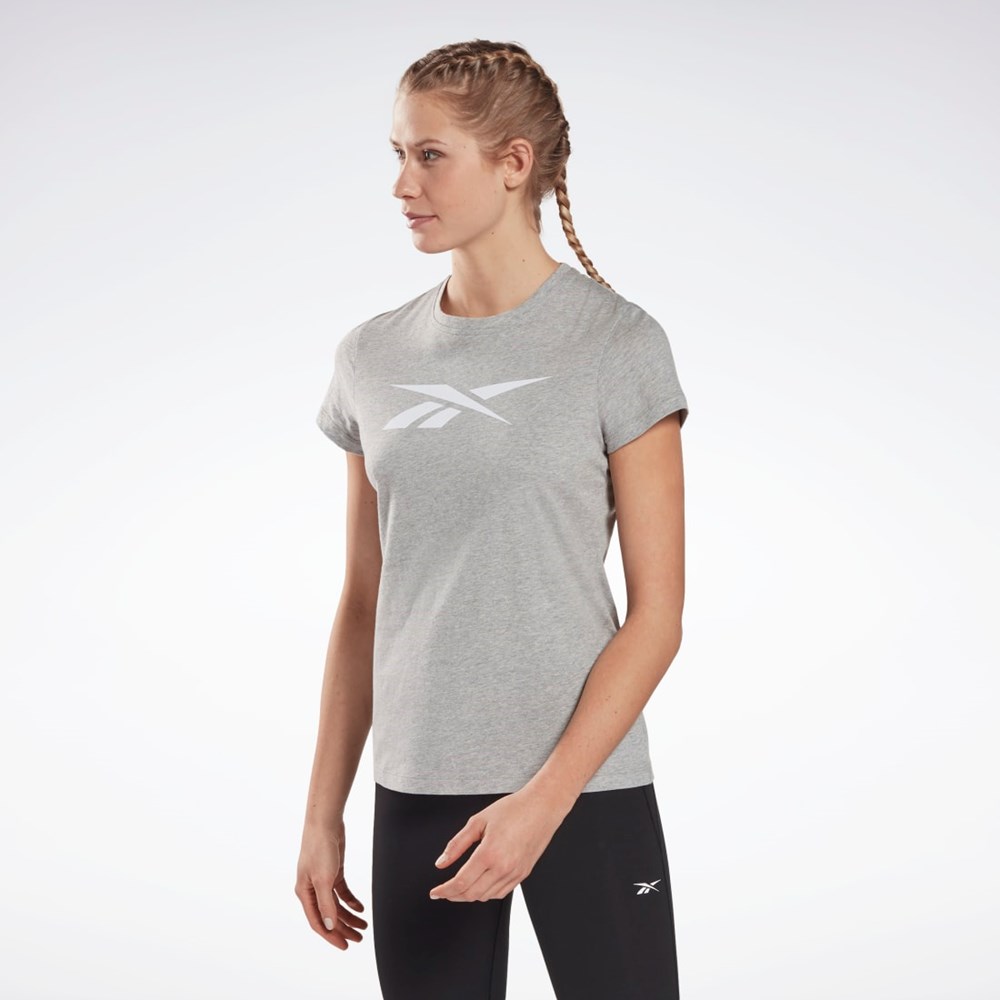 Reebok Entrenamiento Essentials Vector Estampadas Tee Gris | 19DBQSAPG