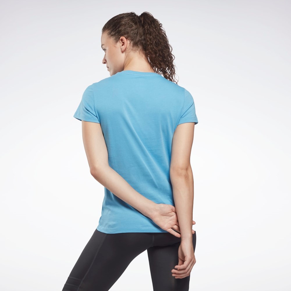 Reebok Entrenamiento Essentials Vector Estampadas Tee Azules | 63KLVHMYB