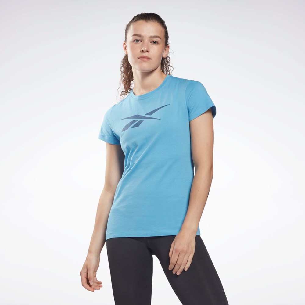 Reebok Entrenamiento Essentials Vector Estampadas Tee Azules | 63KLVHMYB