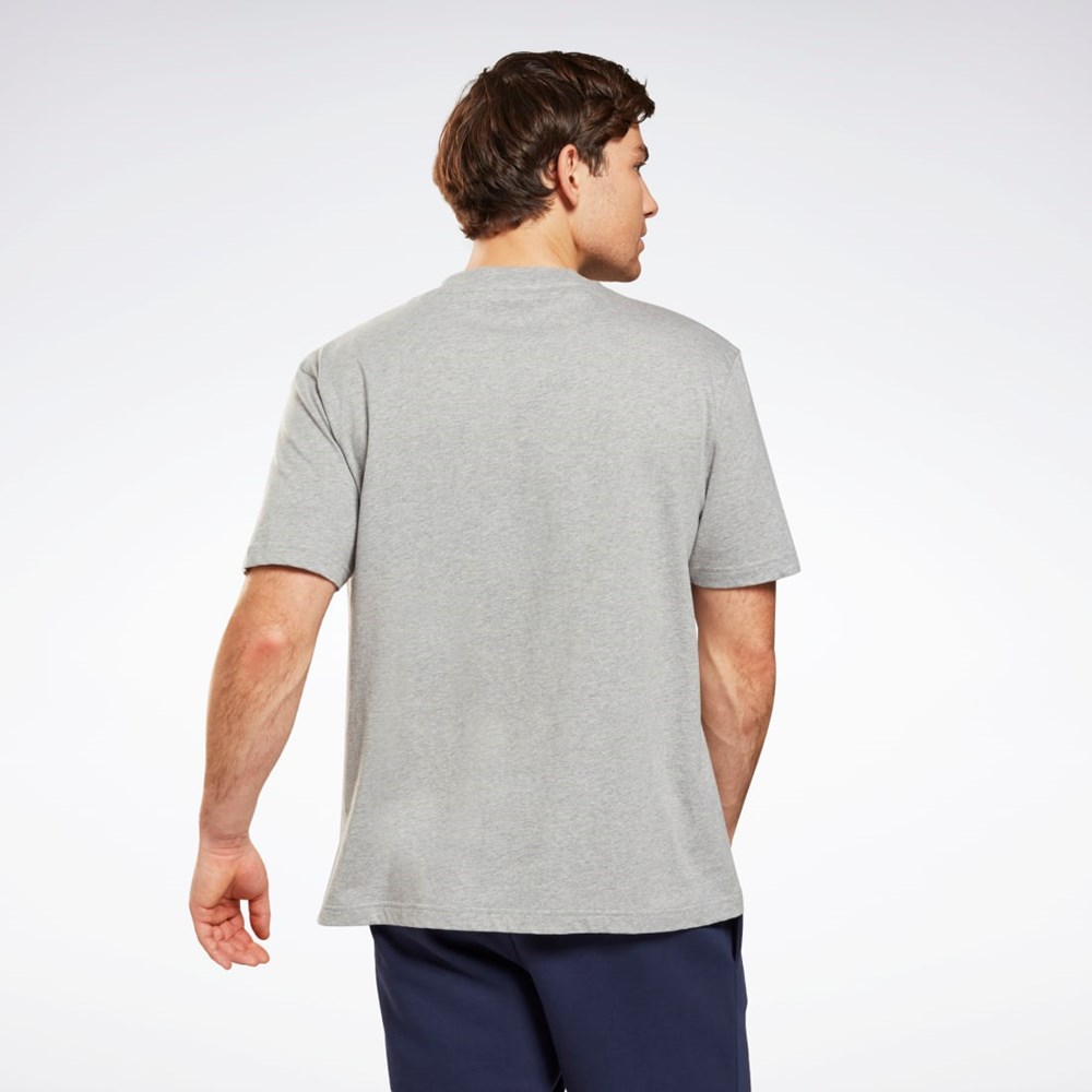 Reebok Estampadas Series T-Shirt Gris | 42MNOLQYW