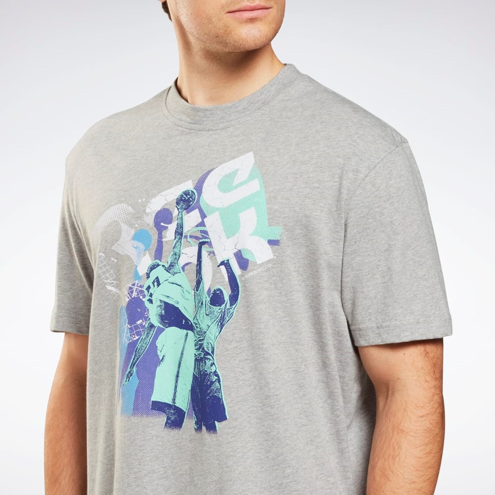 Reebok Estampadas Series T-Shirt Gris | 42MNOLQYW
