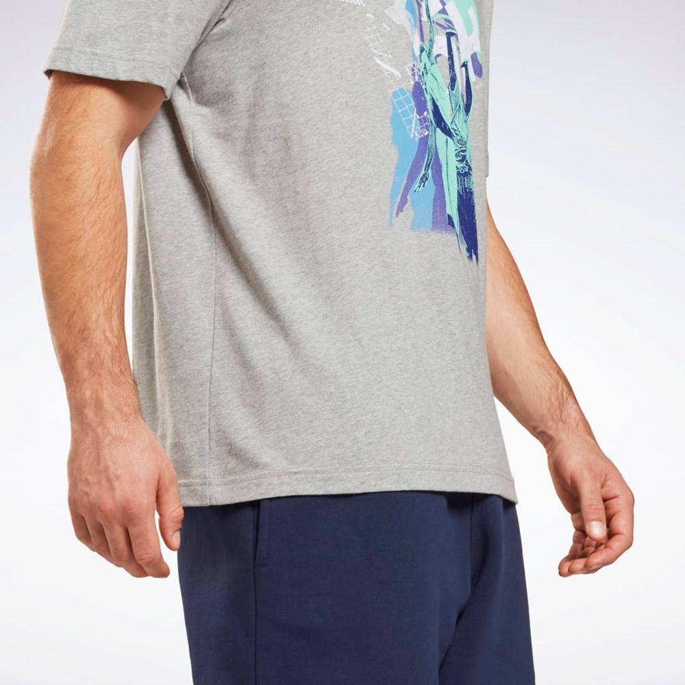 Reebok Estampadas Series T-Shirt Gris | 42MNOLQYW