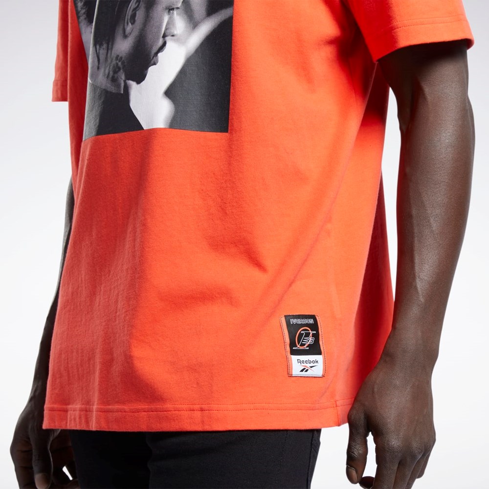 Reebok Iverson Basketball I3 Blue Print Corta Sleeve T-Shirt Rojas | 01VKSDURZ