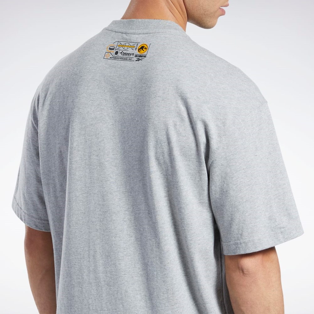 Reebok Jurassic World T-Shirt Gris | 37OPKDASZ