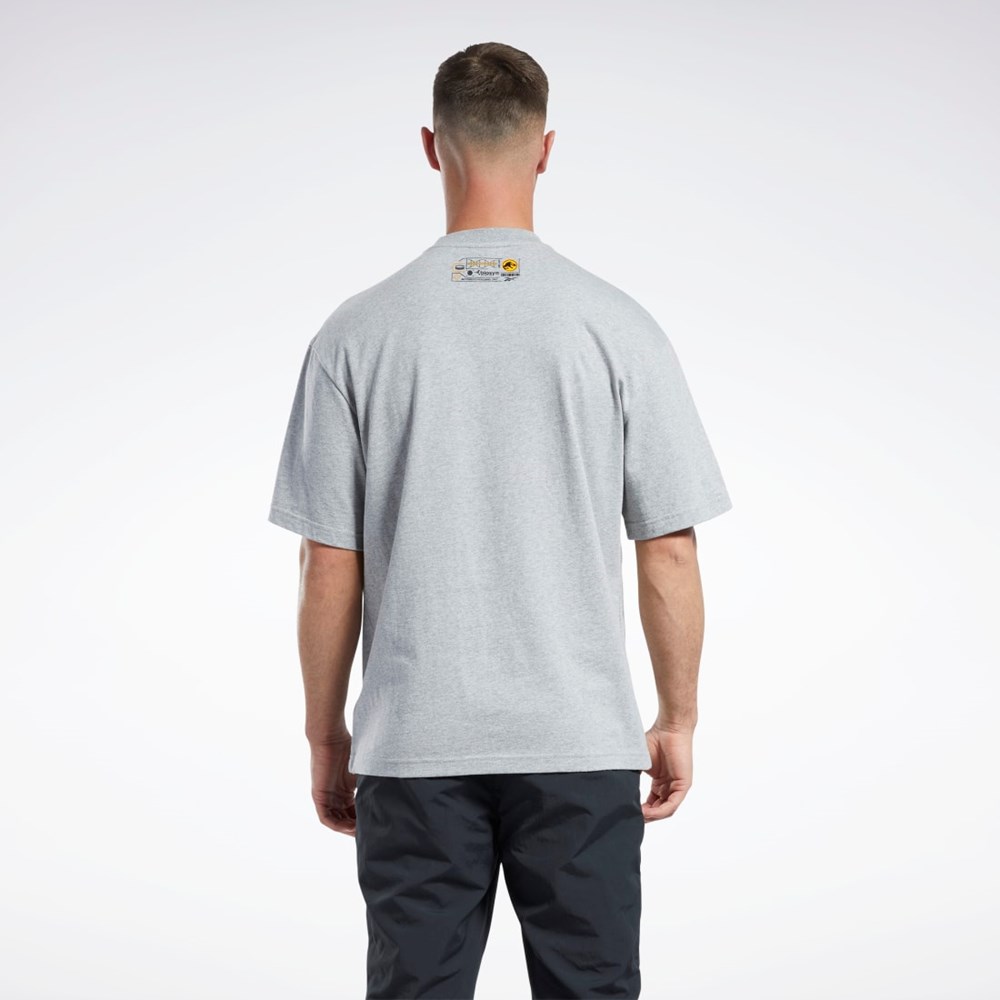 Reebok Jurassic World T-Shirt Gris | 67CJFZDBA