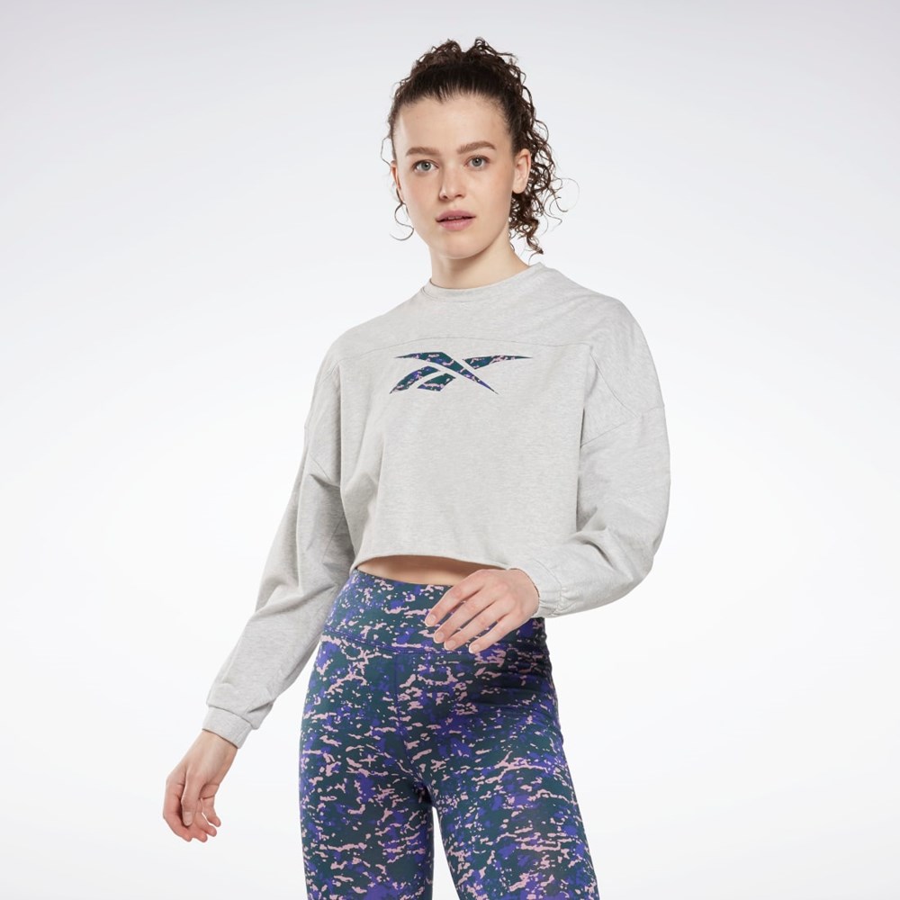 Reebok Modern Safari Coverup Gris Claro | 36BZPGKOT