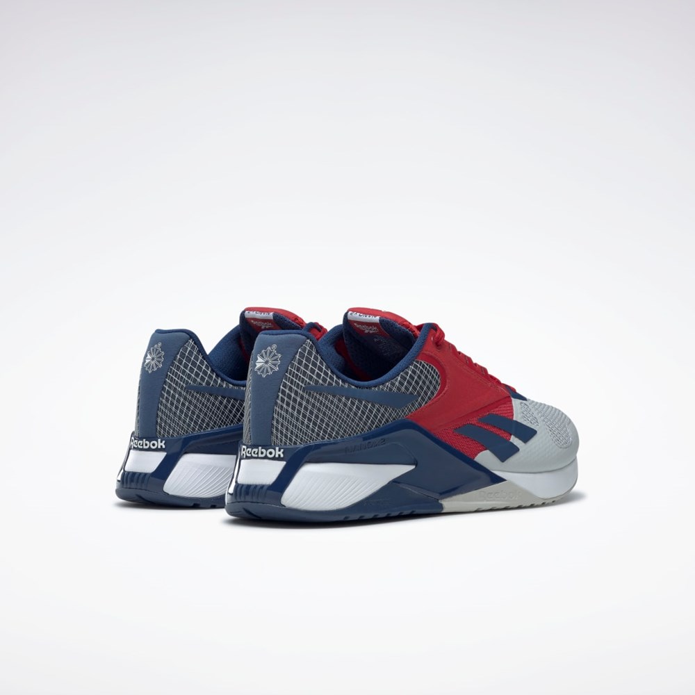 Reebok Nano 6000 Entrenamiento Shoes Gris Rojas Azules | 28KDIYGEP