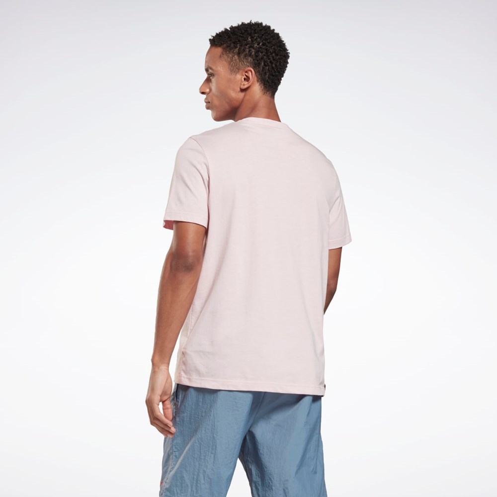 Reebok Pride Estampadas T-Shirt Frost Berry | 19ZQIBPCT