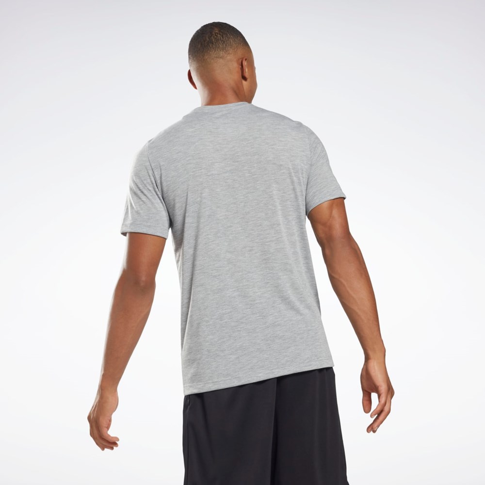 Reebok Reebok Estampadas Series T-Shirt Gris | 02CDGPJYF