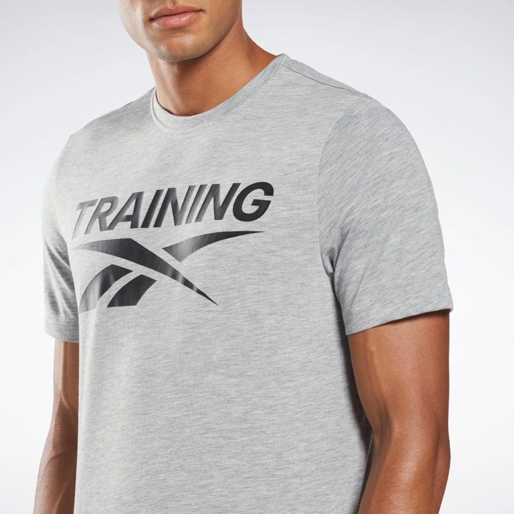 Reebok Reebok Estampadas Series T-Shirt Gris | 02CDGPJYF