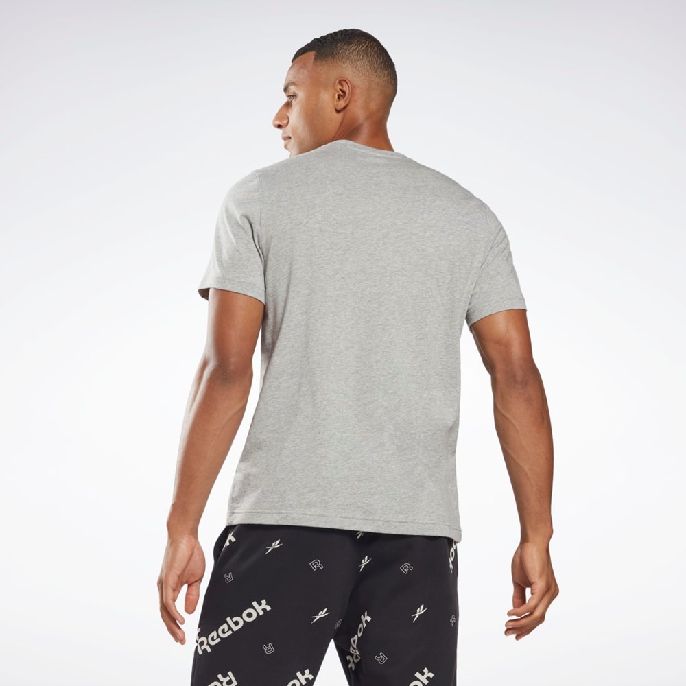 Reebok Reebok Estampadas Series Vector T-Shirt Gris | 40DAULENP