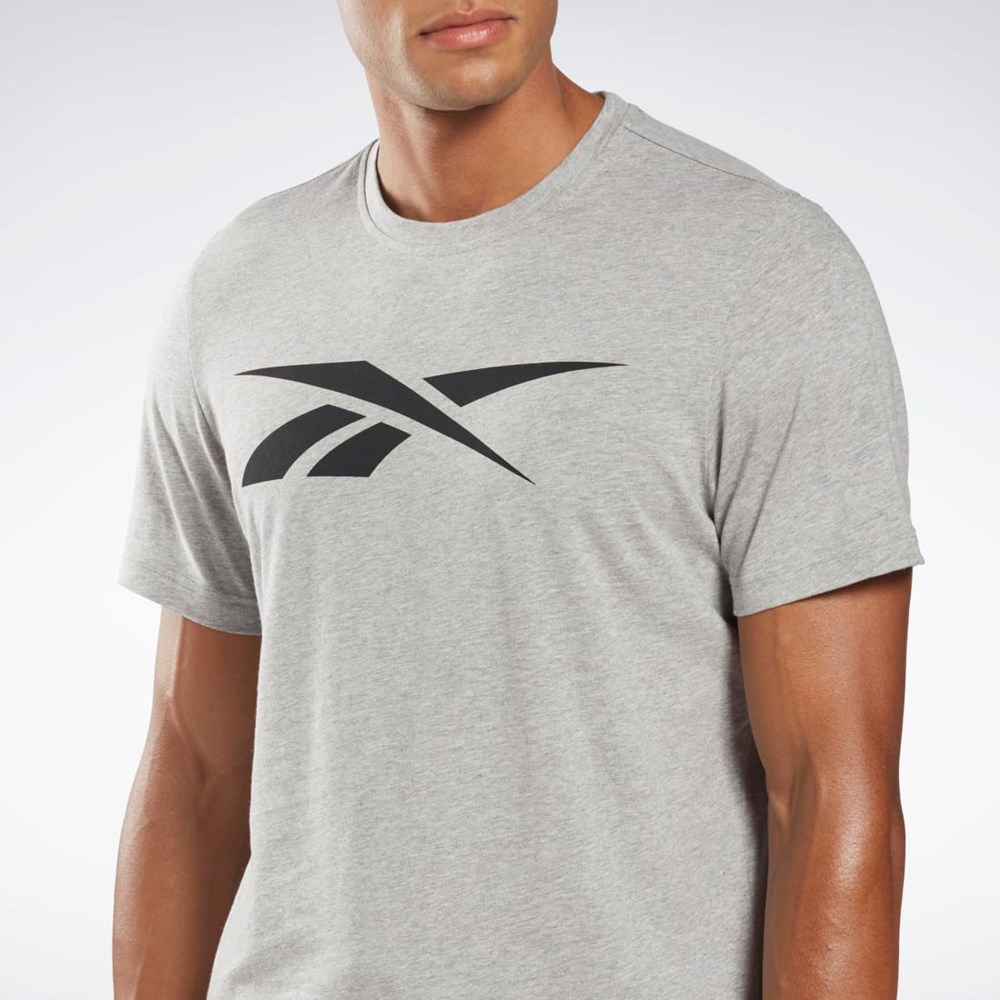 Reebok Reebok Estampadas Series Vector T-Shirt Gris | 40DAULENP