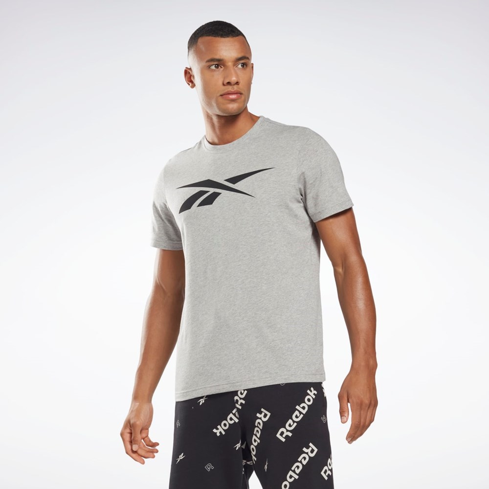 Reebok Reebok Estampadas Series Vector T-Shirt Gris | 40DAULENP