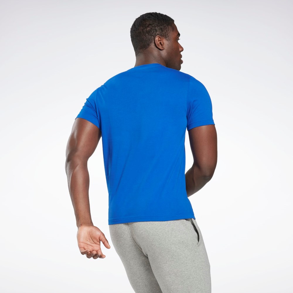 Reebok Reebok Estampadas Series Vector T-Shirt Azules | 47DJOVCPS