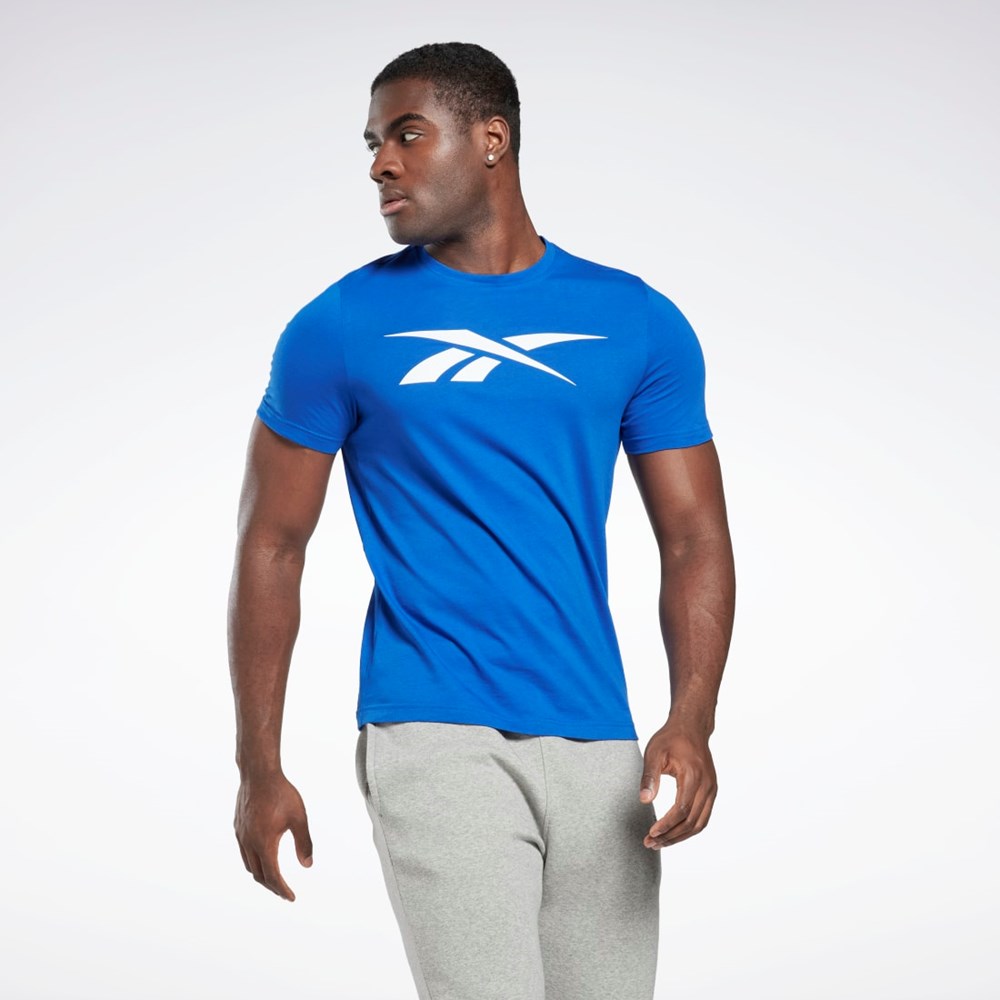 Reebok Reebok Estampadas Series Vector T-Shirt Azules | 47DJOVCPS