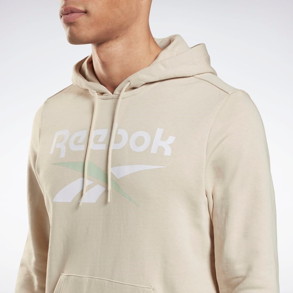 Reebok Reebok Identity Big Logo Hoodie Stucco | 62FVIJCWY