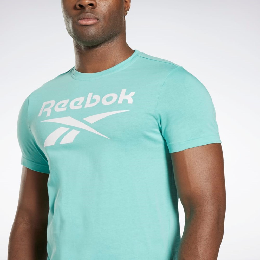 Reebok Reebok Identity Big Logo T-Shirt Semi Classic Teal | 05QOLXMJA