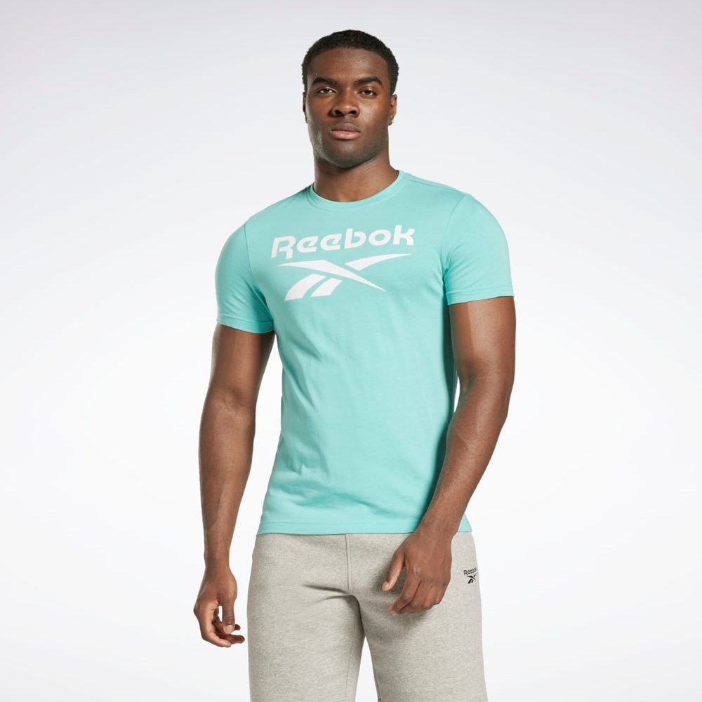 Reebok Reebok Identity Big Logo T-Shirt Semi Classic Teal | 05QOLXMJA