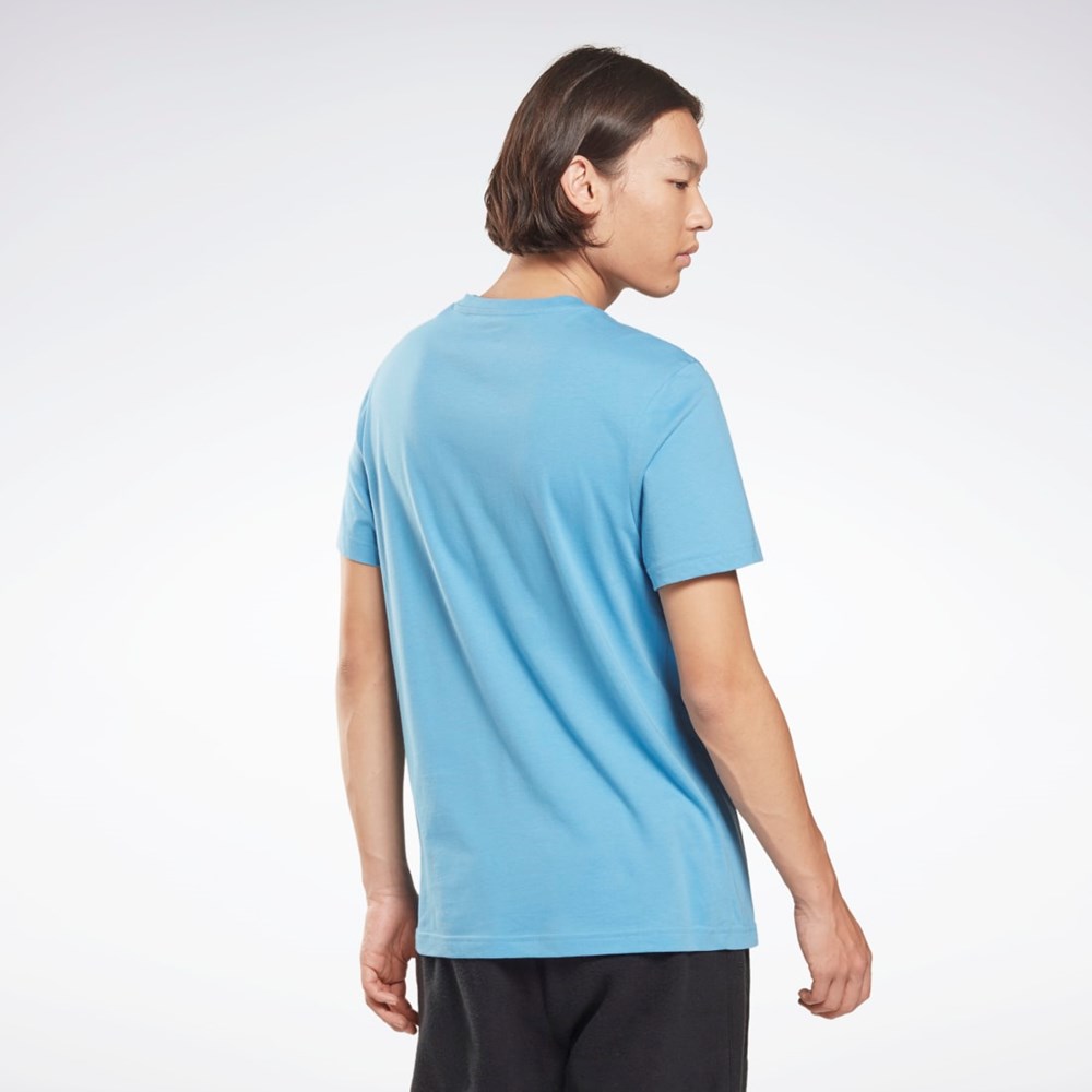 Reebok Reebok Identity Big Logo T-Shirt Azules | 06QCKTHUI