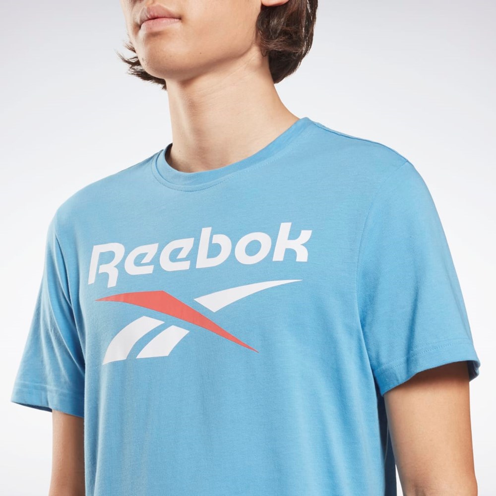 Reebok Reebok Identity Big Logo T-Shirt Azules | 06QCKTHUI