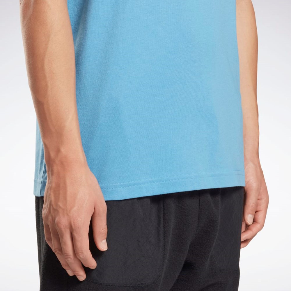 Reebok Reebok Identity Big Logo T-Shirt Azules | 06QCKTHUI