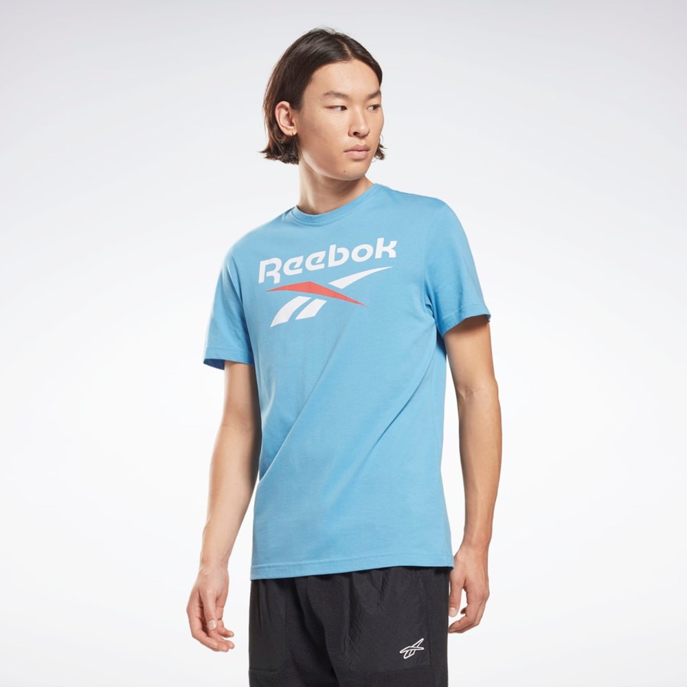 Reebok Reebok Identity Big Logo T-Shirt Azules | 06QCKTHUI