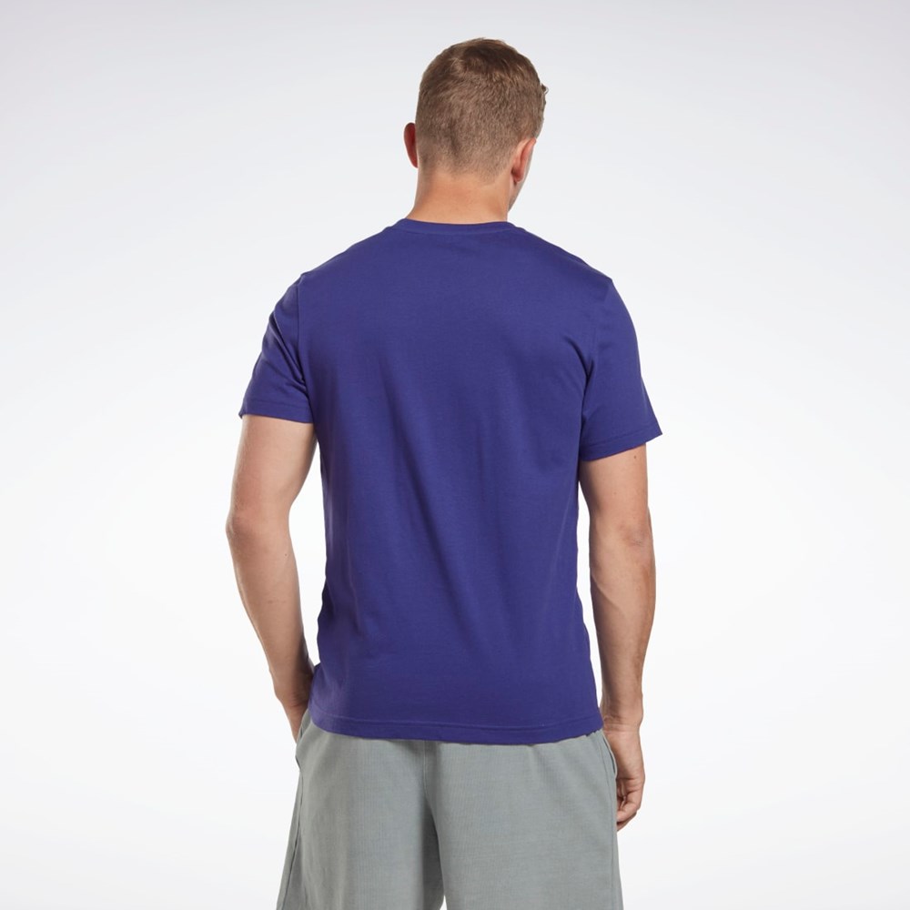 Reebok Reebok Identity Big Logo T-Shirt Moradas | 30BYUATHG