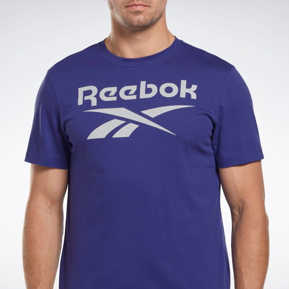 Reebok Reebok Identity Big Logo T-Shirt Moradas | 30BYUATHG