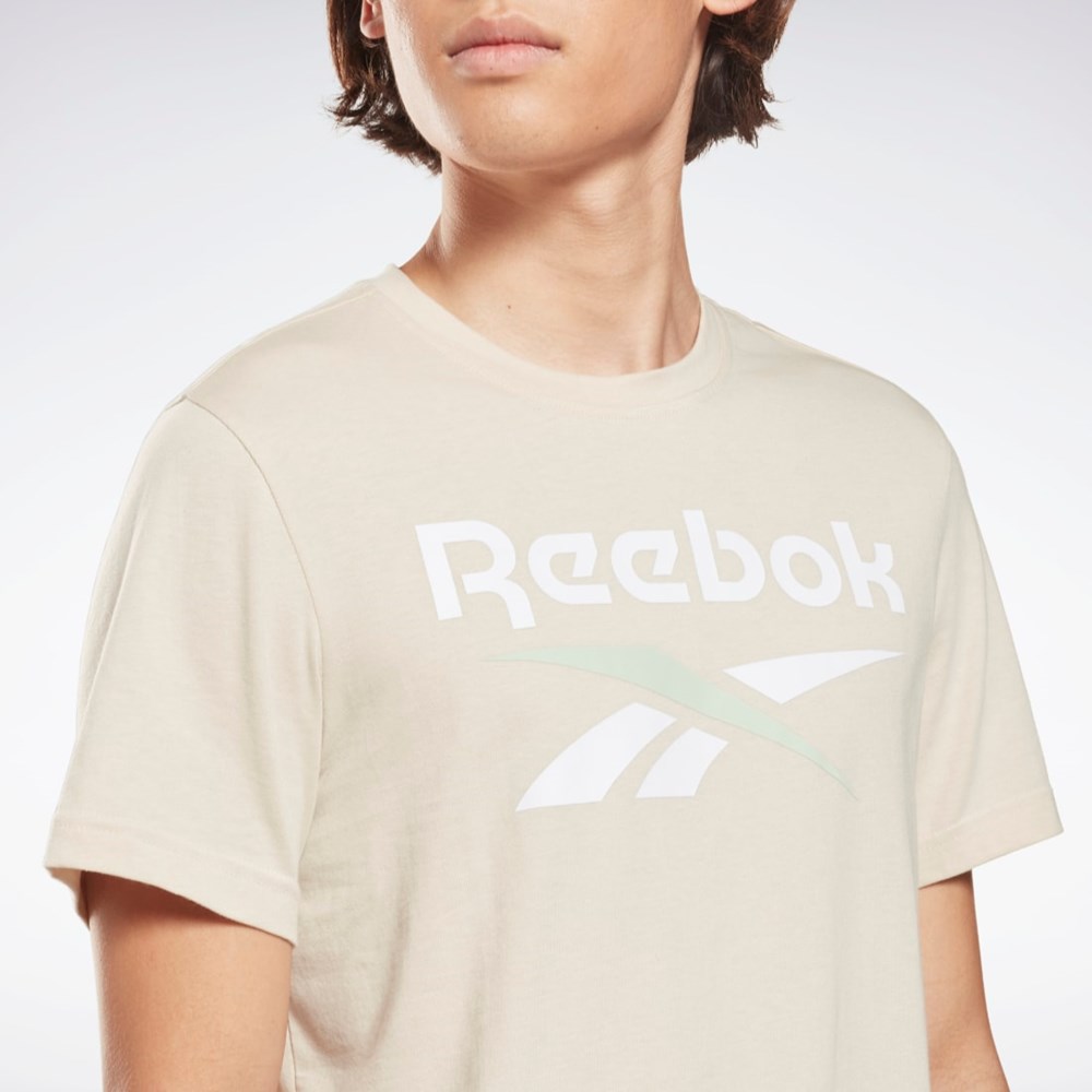 Reebok Reebok Identity Big Logo T-Shirt Stucco | 46ZJYBUCH