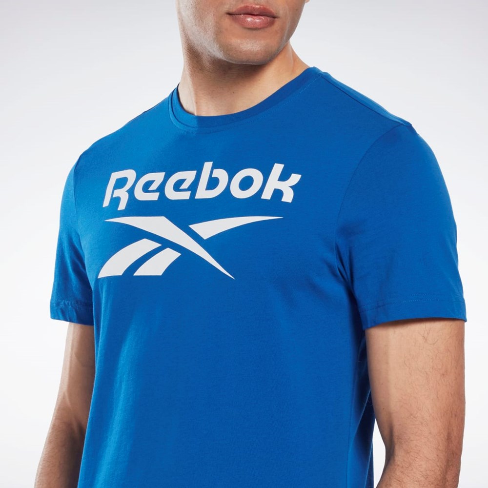 Reebok Reebok Identity Big Logo T-Shirt Azules | 61MCUDVQK