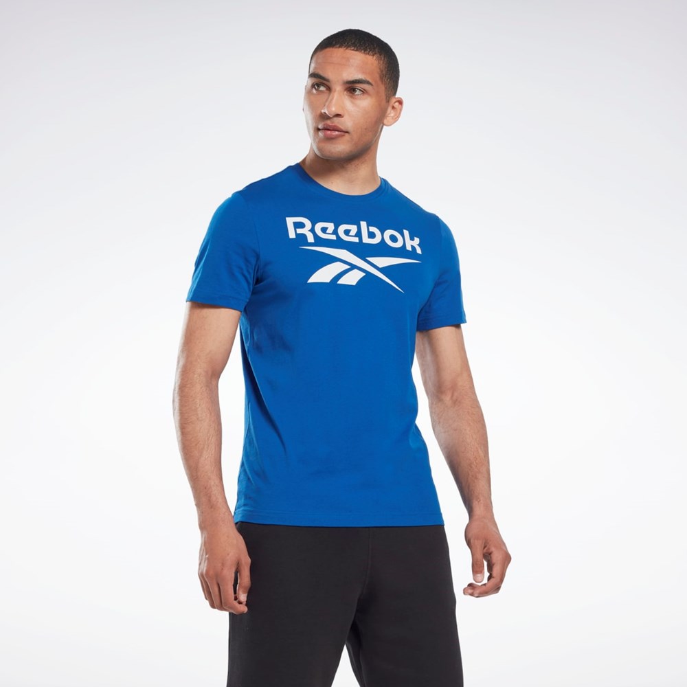 Reebok Reebok Identity Big Logo T-Shirt Azules | 61MCUDVQK