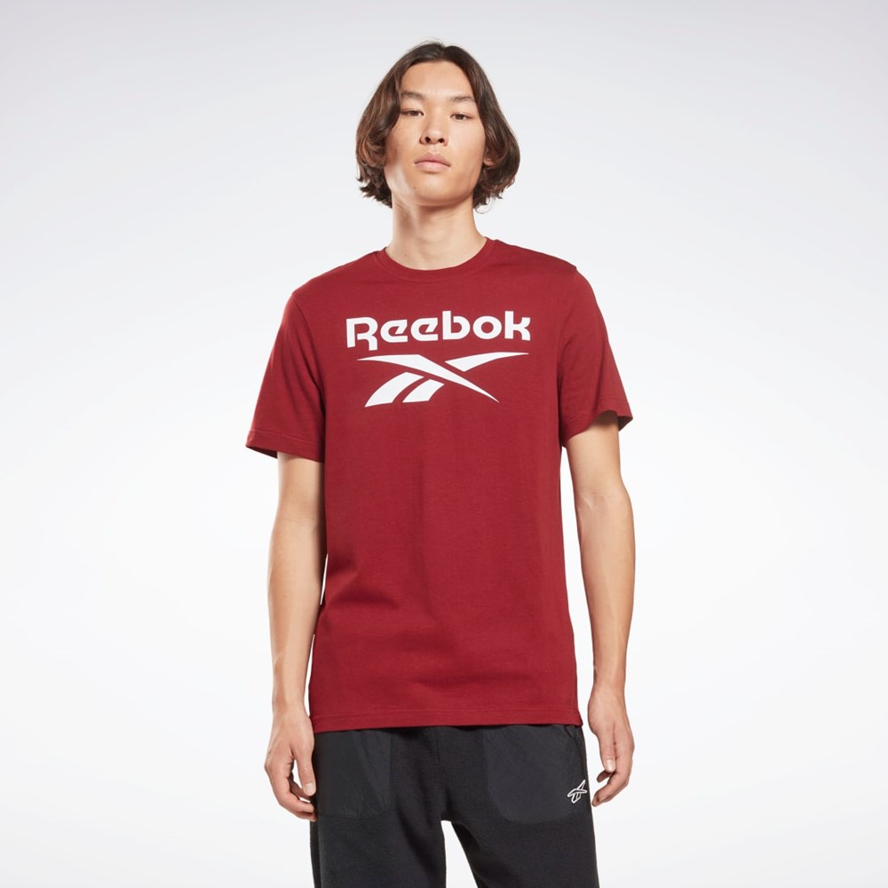 Reebok Reebok Identity Big Logo T-Shirt Burdeos | 71HCQOIXN
